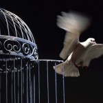 libertad