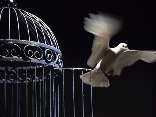 libertad