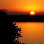 Atardecer