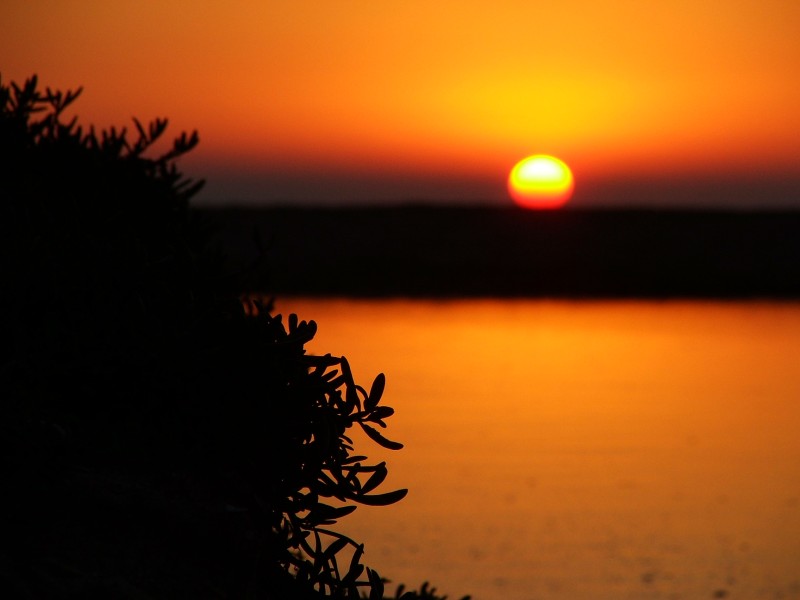 Atardecer