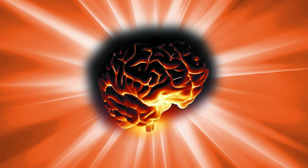 GLANDULA PINEAL