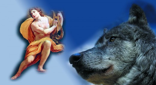 APOLO REY DE LOS LOBOS
