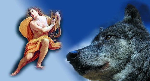 APOLO REY DE LOS LOBOS