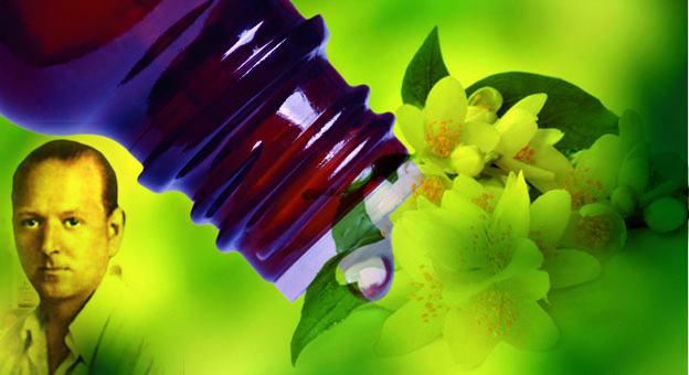 FLORES DE BACH