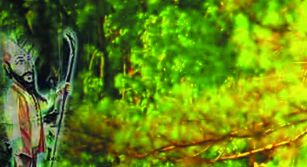 ESPIRITUS ELEMENTALES