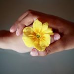 Confianza
