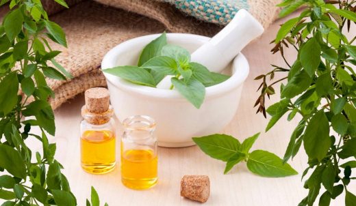 Nueva Acrópolis - Medicina natural