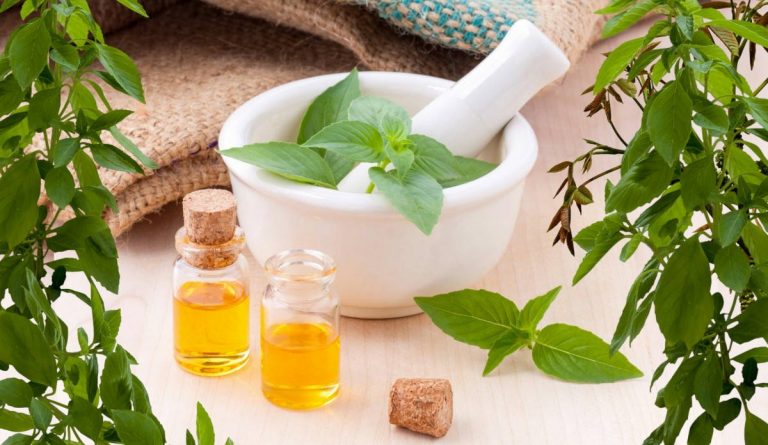 Nueva Acrópolis - Medicina natural