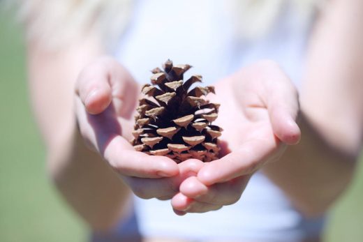 Sentir la naturaleza