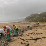 Limpieza ecológica