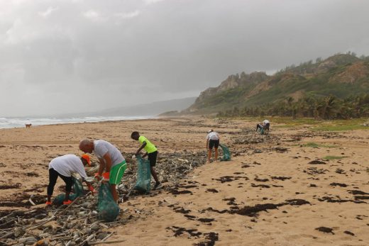 Limpieza ecológica