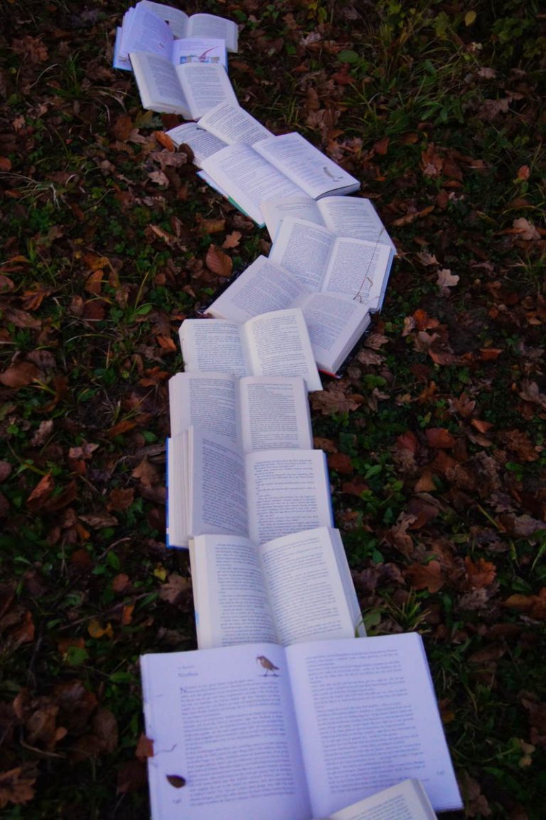 Encuentro con los libros