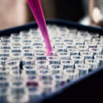 Ciencia y dignidad